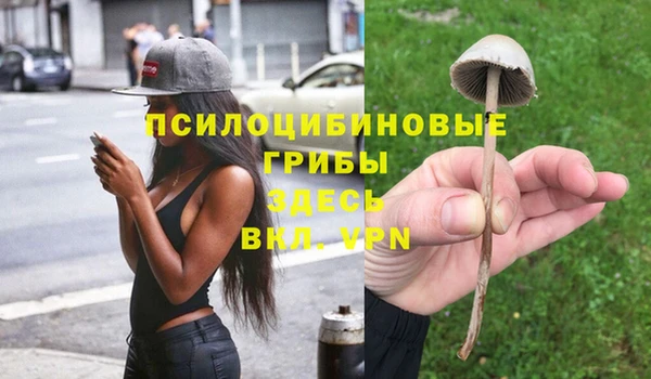 винт Майский