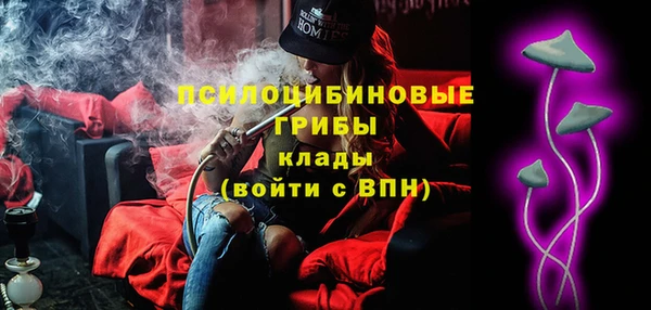 винт Майский