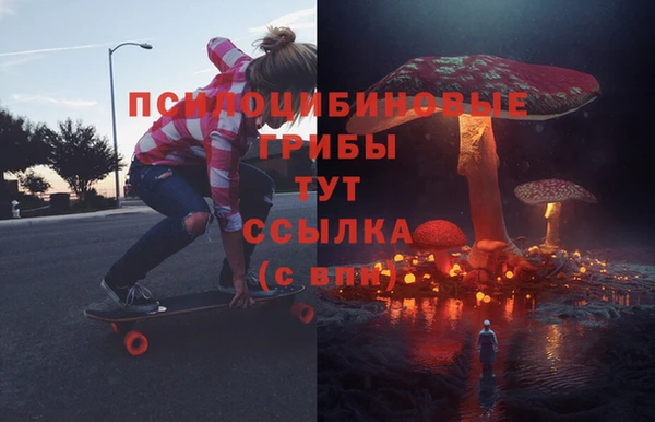 винт Майский