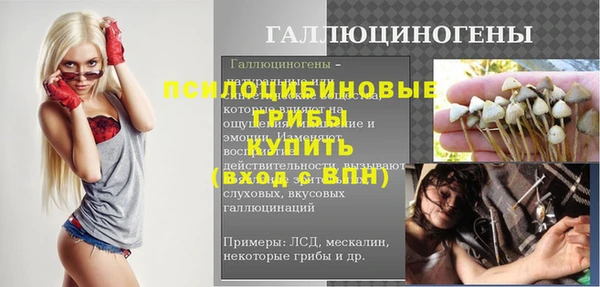круглые Магас
