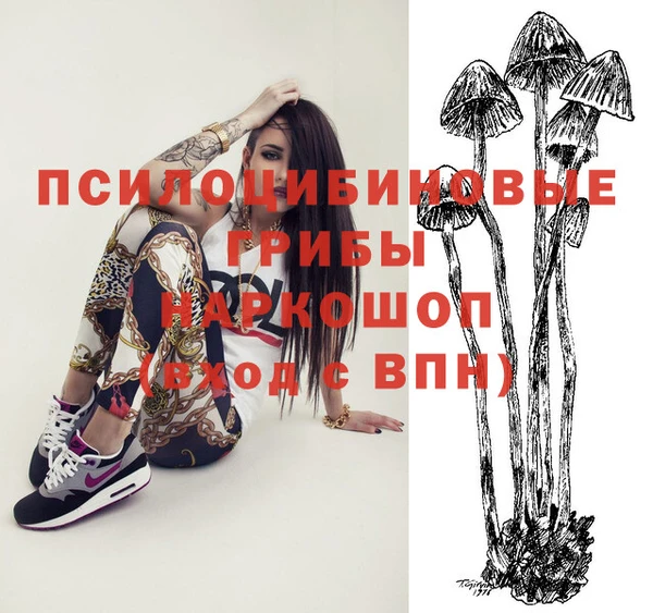 круглые Магас