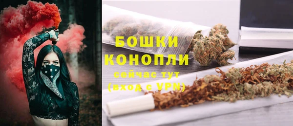 винт Майский