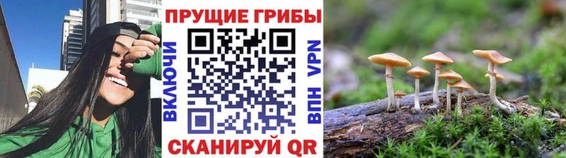 Псилоцибиновые грибы MAGIC MUSHROOMS  Сургут 