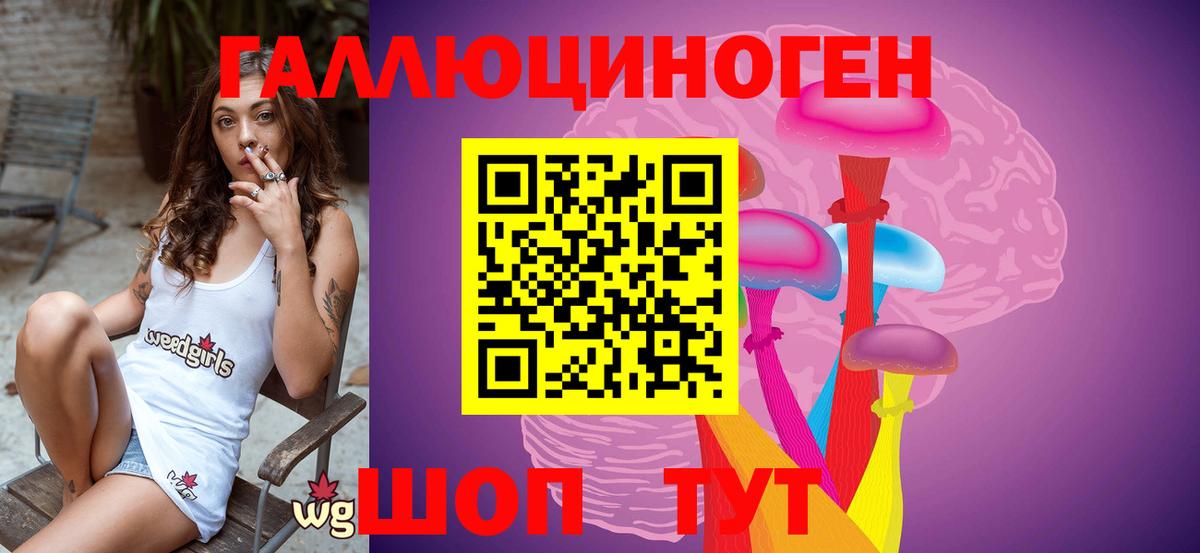 где купить наркоту  Вход с VPN  Сургут  Псилоцибиновые грибы мицелий 