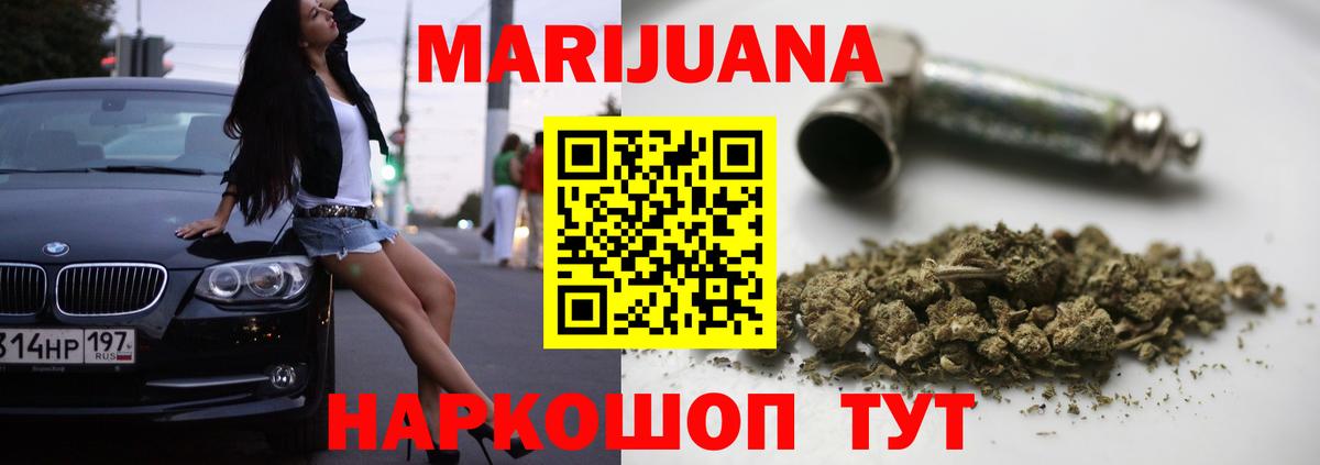 Конопля конопля Сургут